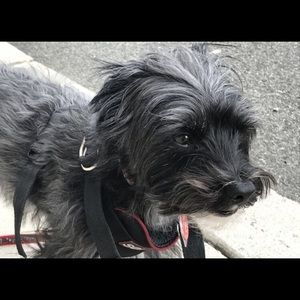 Meet your Posher, Elyse